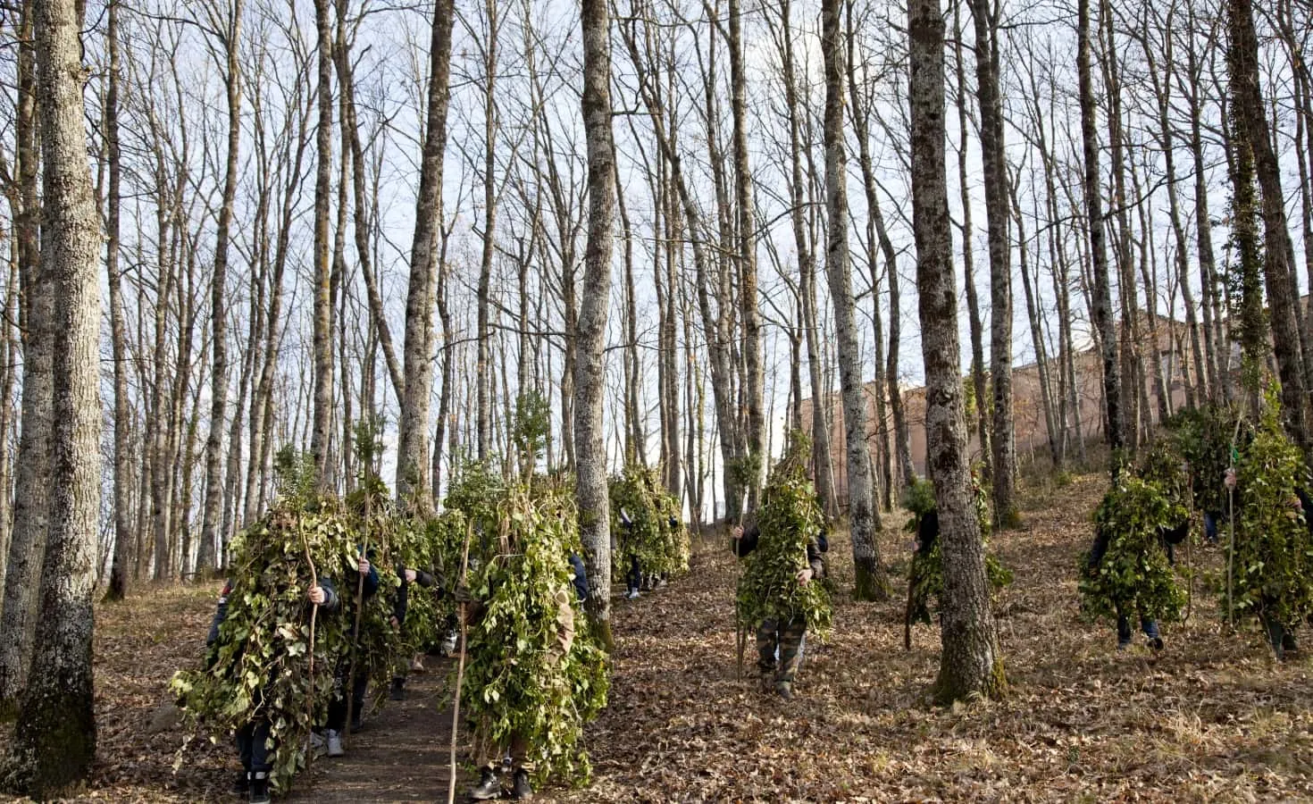 Decine di Rumìt, interamente ricoperti d’edera, fermi fra i tronchi di un bosco spoglio